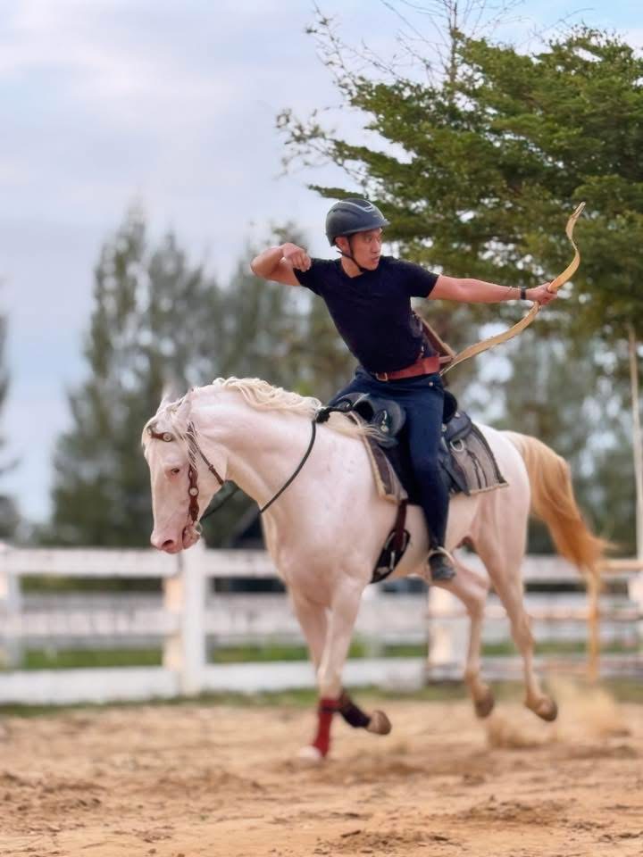 BRAVE HORSE TH Gallery 2